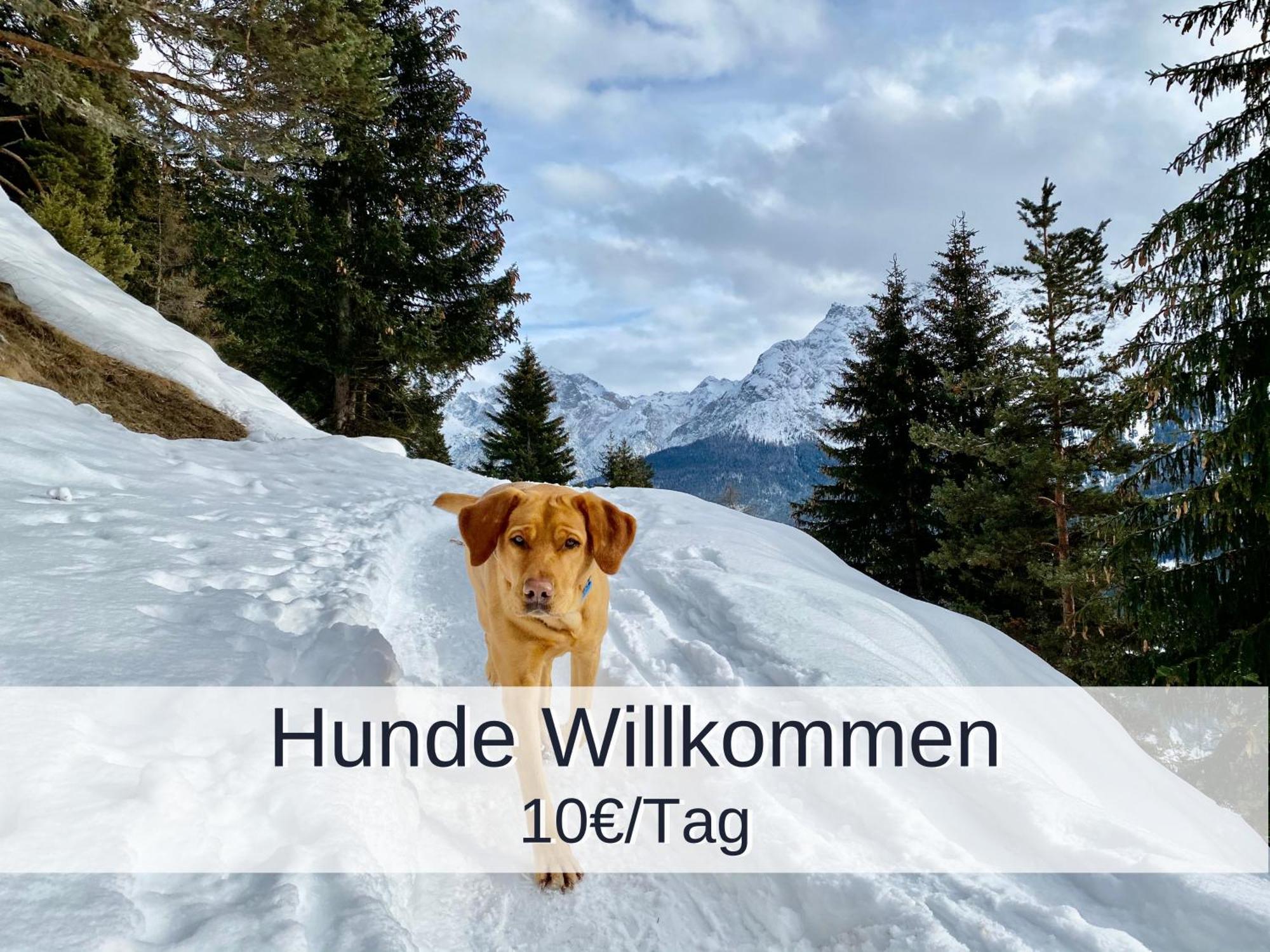 Ferienwohnung Rambold Sonnenterrasse Garmisch-Partenkirchen Bagian luar foto